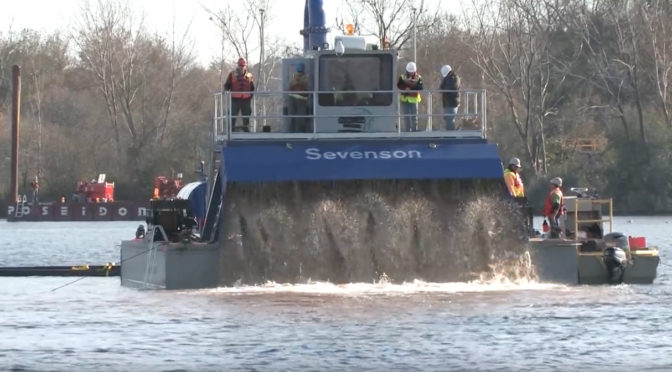 Video: Onondaga Lake is Back